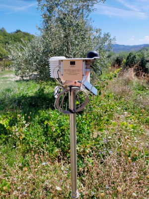 Finanziamento dall’Unione europea - Next Generation EU