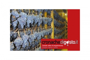 La Vernaccia che non ti aspetti non ha le bollicine: Graidi presenta tre versioni "ferme"