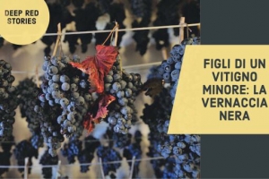 FIGLI DI UN DIO MINORE