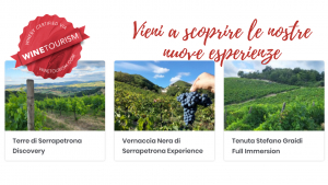 ENOTURISMO: NUOVE ESPERIENZE IN CANTINA