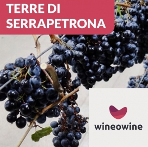 Terre di Serrapetrona su Wineowine