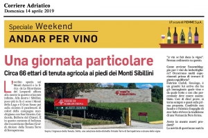 Andar per Vino - Una giornata particolare