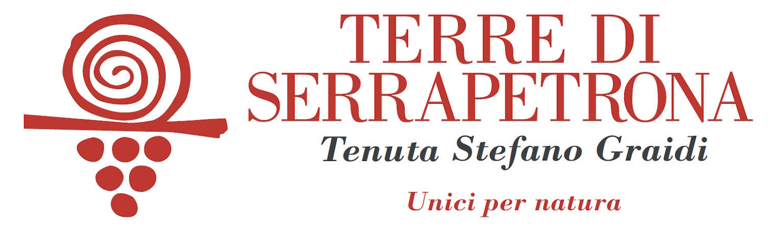 TERRE DI SERRAPETRONA - Tenuta Stefano Graidi TERRE DI SERRAPETRONA - Tenuta Stefano Graidi